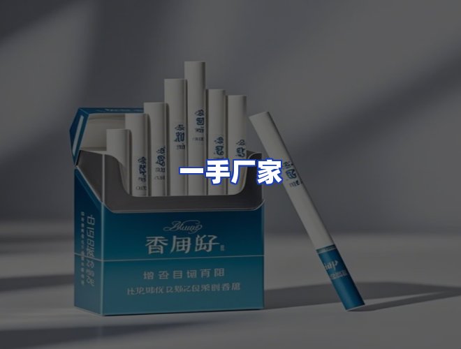 专业团队